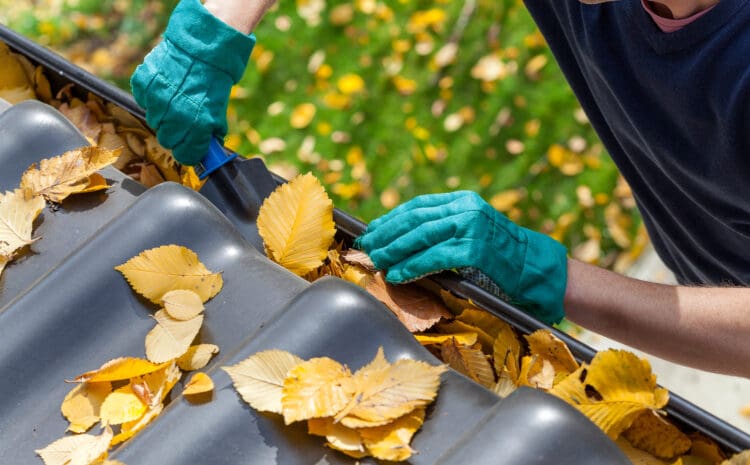  The Crucial Importance of Regular Gutter Cleaning for Home Maintenance